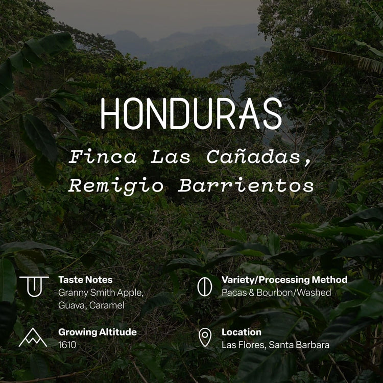 Honduras, Finca Las Cañadas, Remigio Barrientos