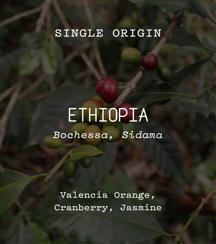 Ethiopia, Bochessa, Sidama