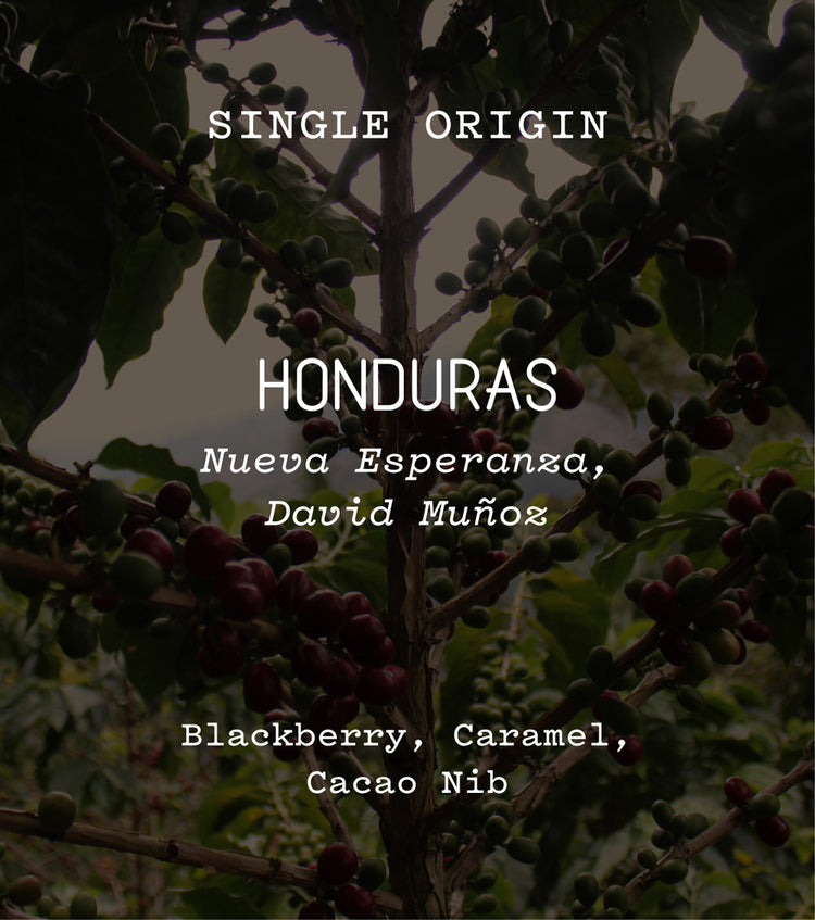 Honduras, Nueva Esperanza, David Muñoz