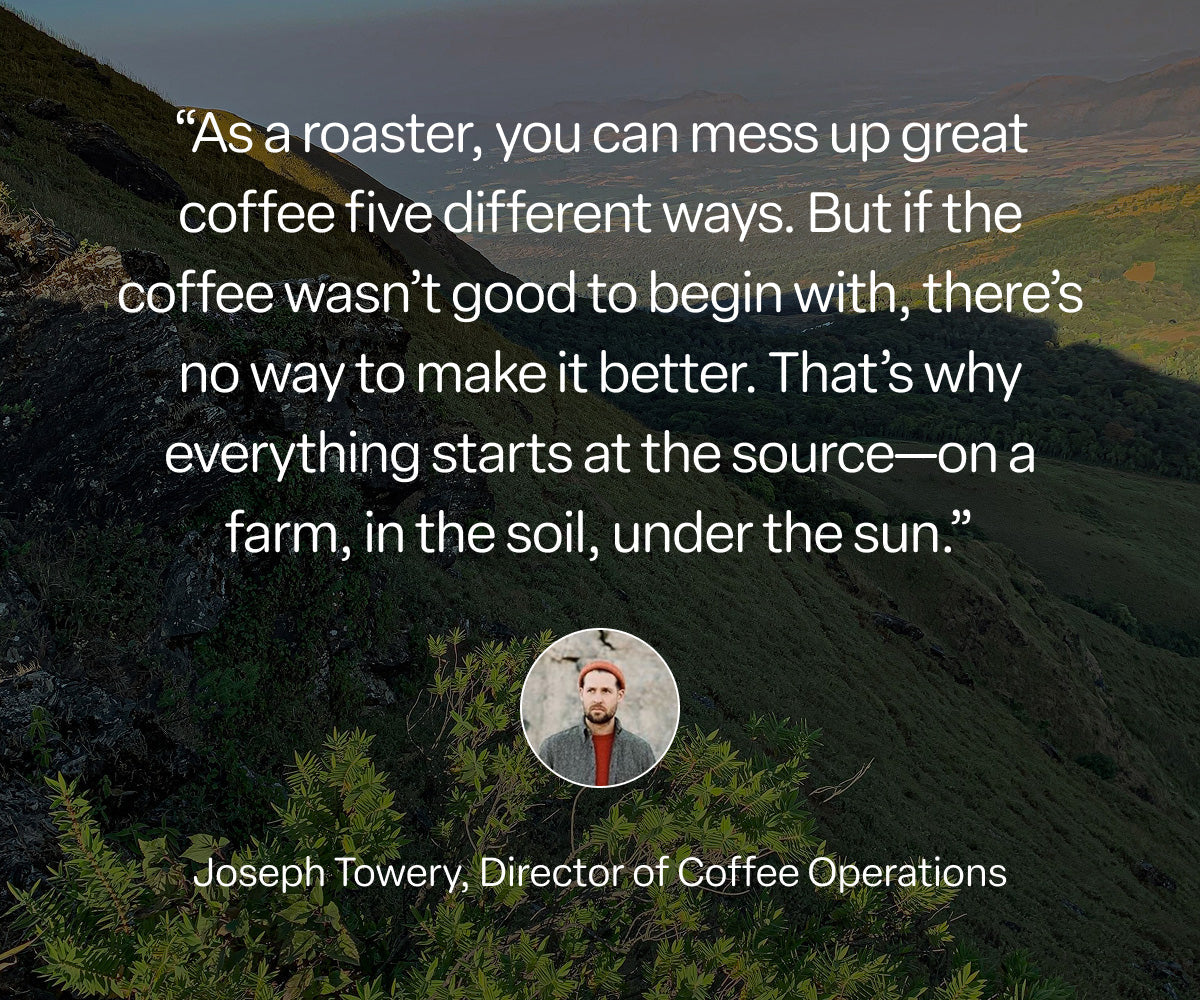 Where Coffee Begins: Earth, Effort, and a Shared Responsibility