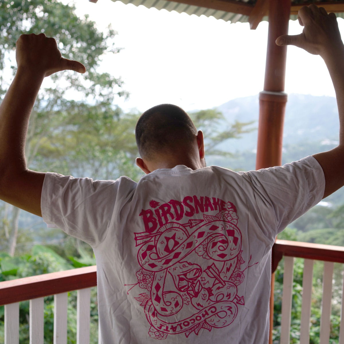 Colombia, Finca Alcatraz, 100% Caturra | Sightglass Coffee