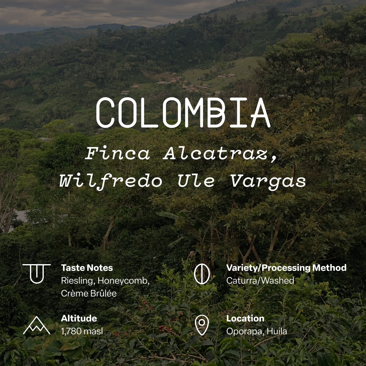 Light & Bright Single Origin Coffee Gift Set | Sightglass Coffee