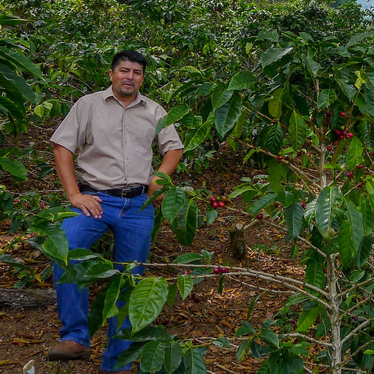 Honduras, Nueva Esperanza, David Munoz Single Origin | Sightglass