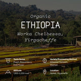 Ethiopia, Worka Chelbessa, Yirgacheffe, Organic