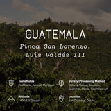Guatemala, Finca San Lorenzo, Luis Valdés III
