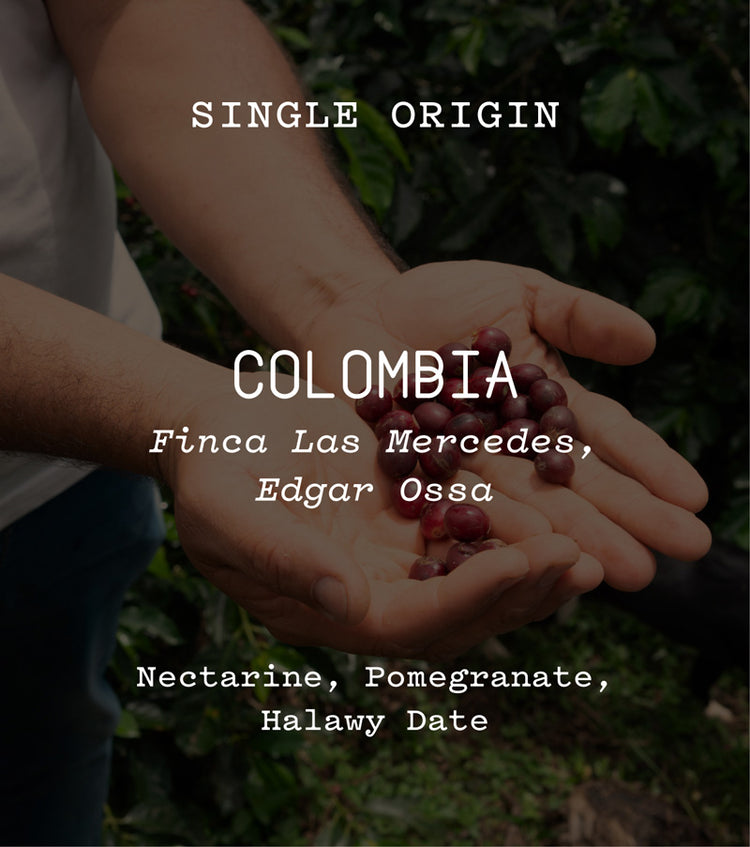 Colombia, Finca Las Mercedes, Edgar Ossa