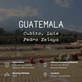 Guatemala, Cubito, Luis Pedro Zelaya