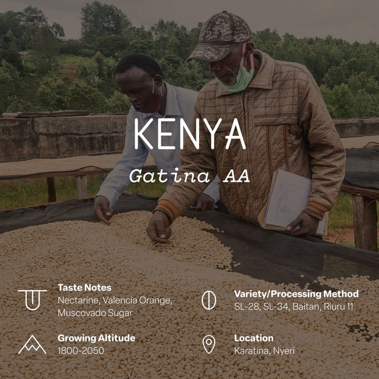 Kenya, Gatina AA