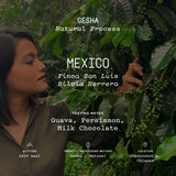 Mexico, Silvia Herrera, Gesha Natural