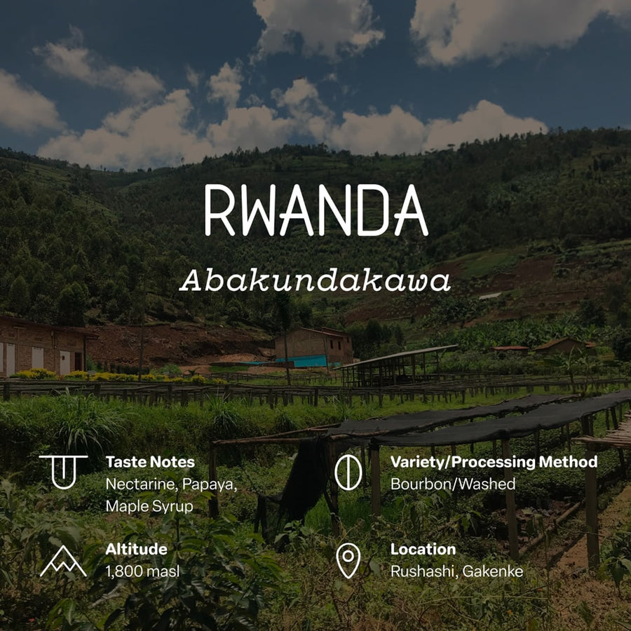 Rwanda, Abakundakawa Single Origin | Sightglass Coffee
