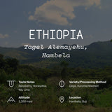 Ethiopia, Tagel Alemayehu, Hambela