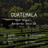 Guatemala, Don Angel, Renardo Ovalle