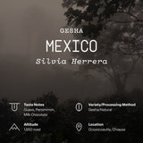 Mexico, Finca San Luis, Silvia Herrera, Gesha
